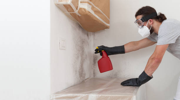 Professional Bathroom Mold Removal technician working in Prides Crossing, MA